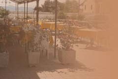 backg_image-1